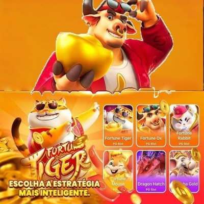 55jogar